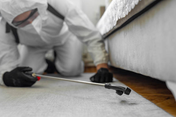 Professional Ant Control technician working in South Taft, CA
