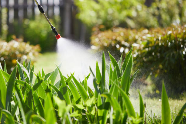 24/7 Emergency Wasp Removal experts in South Taft, CA